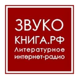 Радио Звукокнига logo