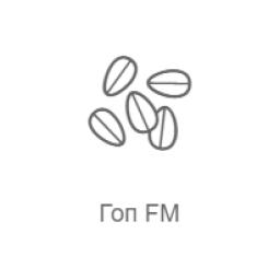 Гоп FM logo
