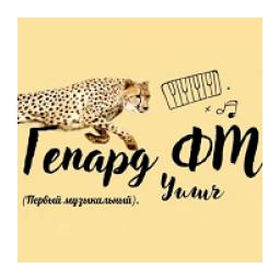 Гепард FM logo