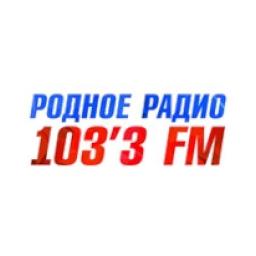 Родное Радио logo