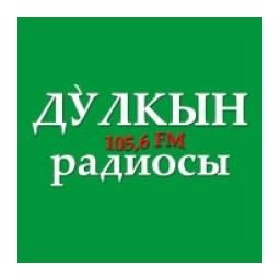 Дулкын радиосы logo