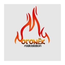 Радио ОГОНЕК logo