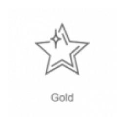 Record Gold logo
