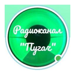 Радио Пугач logo