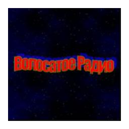 Волосатое радио logo