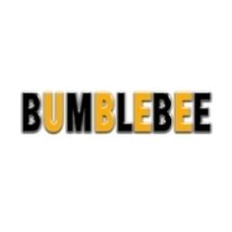 Радио Bumblebee logo