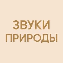 Звуки Природы logo