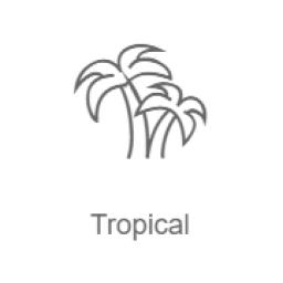 Tropical logo
