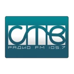 СТВ-Радио logo