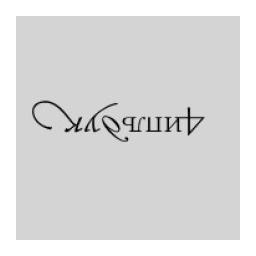 Радио ЧипльДук logo