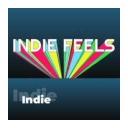 Indie - 101.ru logo