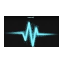 Radio Insounds logo