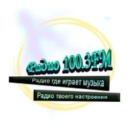 Радио 100.3FM logo