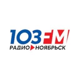 Радио Ноябрьск logo
