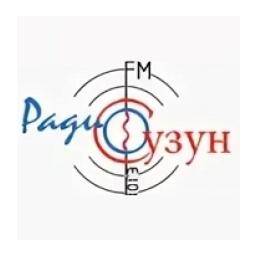 Радио Сузун FM logo
