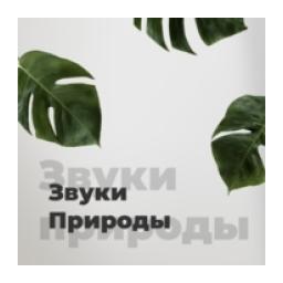 Звуки Природы - 101.ru logo