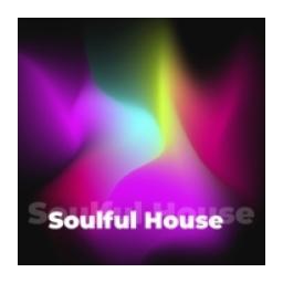Soulful House - 101.ru logo