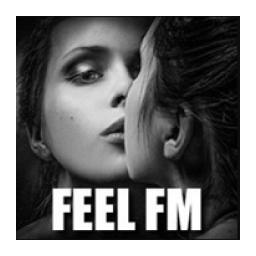 Feel FM [2020] logo