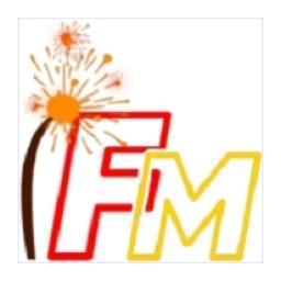 Салют Fm logo