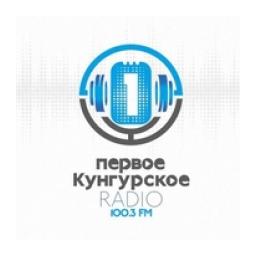 Первое Кунгурское радио logo