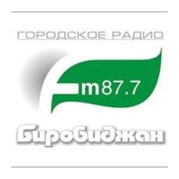 FM-Биробиджан logo