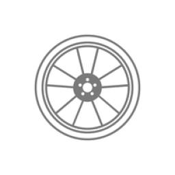 Phonk logo