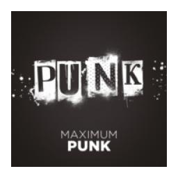 PUNK logo