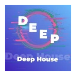 Deep House - 101.RU logo